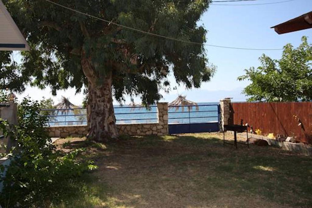 Holiday Tolofona Beach Eratini Pokoj fotografie